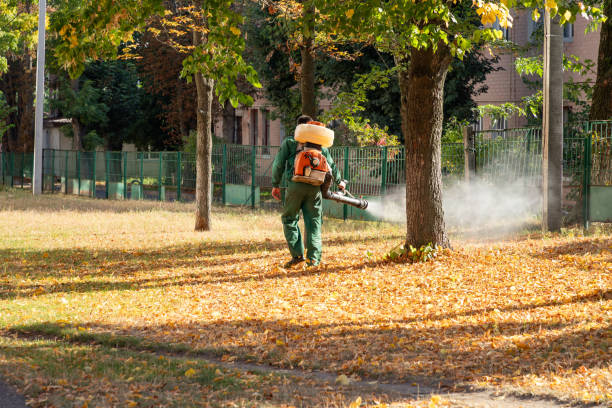 Best Wasp Removal Services  in Riverside, OH