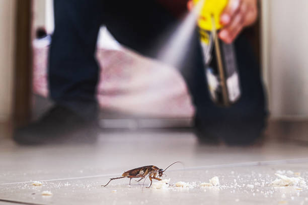 Best Rat Extermination Near Me  in Riverside, OH